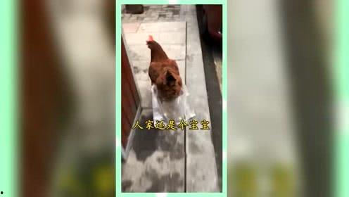 熟悉娱乐吃瓜群众,揭秘明星幕后故事，吃瓜群众独家解读