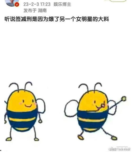 蜜蜂吃瓜娱乐
